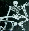 bones woodcut