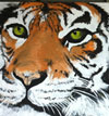 jo jo the tiger 4x8 foot panel